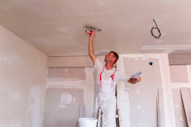 Best Wallpaper Removal and Painting  in Eupora, MS