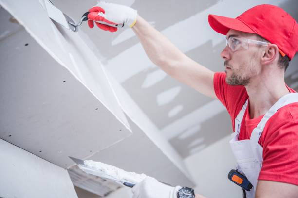 Best Fire-Damaged Drywall Repair  in Eupora, MS